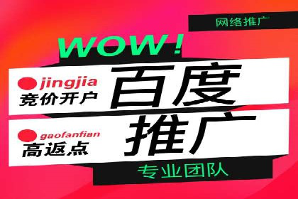 百度竞价广告投放案例剖析